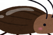 ゴキブリとかいうなぜ生きてるのか分からない生き物ｗｗｗｗｗｗｗｗｗｗｗ
