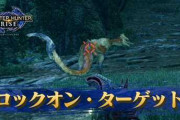 【相談】ターゲットを示す矢印がたまにR押し込みで指定したモンス以外を追尾する時があるんだが修正できる？？？