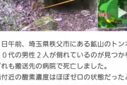【画像】廃墟になった鉱山トンネルに不法侵入した廃坑探検youtuber、酸欠で半分逝く