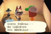 【悲報】あつまれどうぶつの森、どすけべそうな猫キャラが追加されて一部で大人気になってしまう…