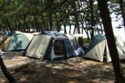 【南島原市】野田浜キャンプ場【動画】日本の白砂青松百選の地♪
