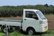 安くて楽しい車いいのあるか？