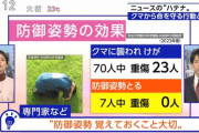 【朗報】クマに対する有効な「防御姿勢」、見つかる。お前らクマに遭遇したらこうしろ！！