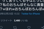 【悲報】女性プロ格闘ゲーマーさん、 品性を疑うツイートを素でしてしまう…
