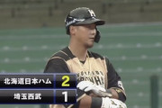 【vs西武】日ハム中田、逆転の2点タイムリーツーベース！