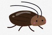 彡(ﾟ)(ﾟ)で学ぶゴキブリ