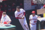 【動画】大谷翔平、自ら大乱闘の輪に飛び込む