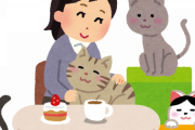 猫カフェ行こうと誘ってくる友人がムカつく。猫アレルギーあまく見ないで