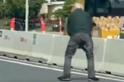 道路に飛び出していたコアラが助けてくれたおじさんからガチめな説教をされる