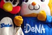 【画像あり】ヤクルトとDeNAの腐女子事情