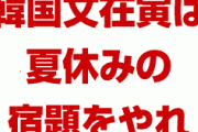日本政府「韓国は夏休みの宿題をさっさとやれ」　文在寅詰んだな…