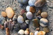 密かなブーム“石ころ拾い”_海辺や川原で「いい感じの石ころ」探し