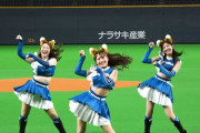 日本ハムの「きつねダンス」って曲を一生懸命練習してるんだが