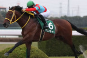 【競馬予想】第11回 みやこステークス(G3) /2021