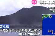 噴火で拡大した西之島、ゴキブリの楽園に　噴火後も生き残り大繁殖　生態系への影響懸念