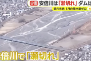 【画像】安倍川、干からびる…