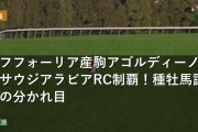 エフフォーリア産駒アゴルディーノがサウジアラビアRC制覇！種牡馬評価の分かれ目