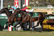 【阪急杯】７歳馬ダイアトニックが復活V！重賞３勝目
