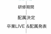 合同オーディション→青葉坂46→研修期間→配属決定→配属（乃木坂or櫻坂or日向坂）