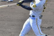 【朗報】阪神前川、ガチで当たりくさいｗｗｗｗｗｗｗｗｗｗｗｗｗｗｗｗｗｗｗｗｗｗｗｗ