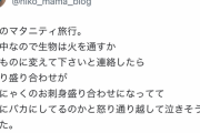 【悲報】 妊婦さん、旅館で生物ダメだから別のものに変えてほしいと言ったら全部「刺身こんにゃく」になり激怒