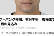 柳田、右肘手術