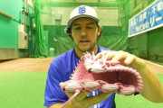 暇やから野球のグローブのメーカーを語ろうや