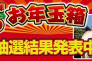 ヨドバシカメラの福袋｢2026年 夢のお年玉箱｣､抽選結果発表中