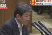 【韓国国会/旭日旗禁止要求】自民・松川るい「他国の正式な旗にケチつける決議。傲慢」茂木外相、韓国語説明「前向き検討」（国会動画）