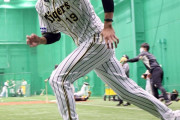 開幕投手の阪神・藤浪、１９日本番前ラス投「支配的な投球を」