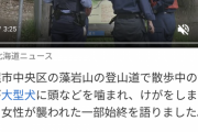 【画像】40代女性、ボルゾイに噛みつかれ重傷　飼い主の70代女性「犬が止まらなかった」