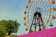 「東京ディズニーランド」「東京ドイツ村」 なぜ千葉県の大型施設には「東京」がよく使われるのか