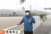 【動画】モグラさん、豪雨で溺れてしまう