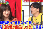 【日向坂46】若林さん、乃木坂46とのシステムの違いについて山崎怜奈に聞いた結果【あちこちオードリー】
