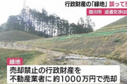 市「売却禁止の土地売っちゃった」業者「1億かけて開発！」→市「1年黙ってたけど取引無効だから返せ」