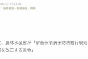 杉本彩「来年度から飼養衛生管理基準によって放牧家畜が規制されます。放牧規制反対です」