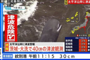 千葉県館山の海岸に何頭ものクジラが打ち上げられる