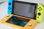 あつまれ どうぶつの森のためにSwitch買おうか悩んでるやがライトでもいいのか？