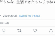 【画像】Twitter民「休みなしで働いても手取り15万。もう終わりだよこの国」
