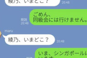 男「これ…！」ババァ「そ、カレー♪で、今度はどんな娘なの？ｗ」男「アレクサ、通 話 を 切って」