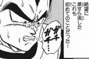 【決定】ドラゴンボールのナッパ戦以上に絶望感のあった戦闘ない説ｗｗｗｗｗ