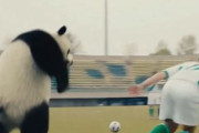 中国人「サッカー中国代表はこれを続けて行けば日本に勝てるはず」　中国人「ただのまぐれ」「これだけで一生食べていける」