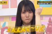 【乃木坂46】賀喜が泣いた時のバナナマンのフォローさぁ..........