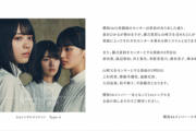 【櫻坂46】運営が突如発表した新センターシステム、ファンの反応がこちら【Nobody'sfault】