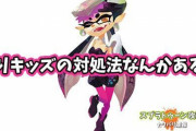 【スプラトゥーン2】初心者なんだがキッズが煽ってきた時の対処法ってどうすればいいんだ