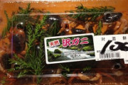【超大作】スーパーで買った食用サワガニの飼育日記『7日後に死ぬカニ』を執筆したネット民現る！　→　7日目、衝撃の結末にｗｗｗｗ