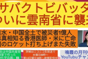 蝗害、ついに中国雲南省へ侵入。豪雨、洪水につづく天変地異。農作物を食い荒らすサバクトビバッッタ