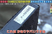 【悲報】死体を沈めやすいと噂の琵琶湖某所、ガチで14年も前の死体が見つかってしまう…