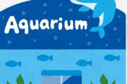 閉館を発表した水族館のスタッフさん、お客さんに罵倒される　水族館「どうか、おやめくださいませ。」