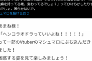 【VTuber】この精神は大切にしたい「別に何を好きでもいいと思うのよ。でもそれを人に強要したり、…」
